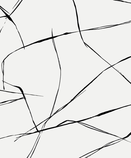 Inkwork Abstract Premium Peel and Stick Removable Wallpaper