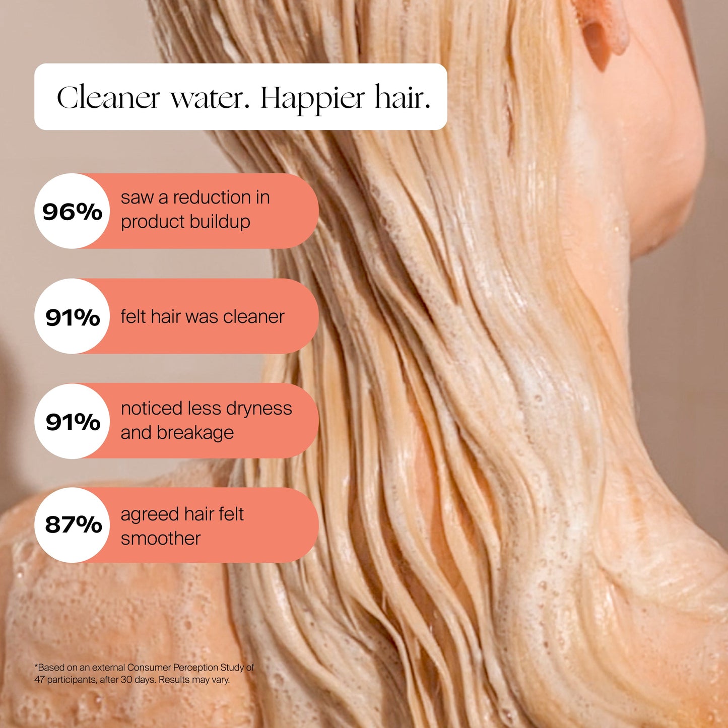 Handheld Filtered Showerhead