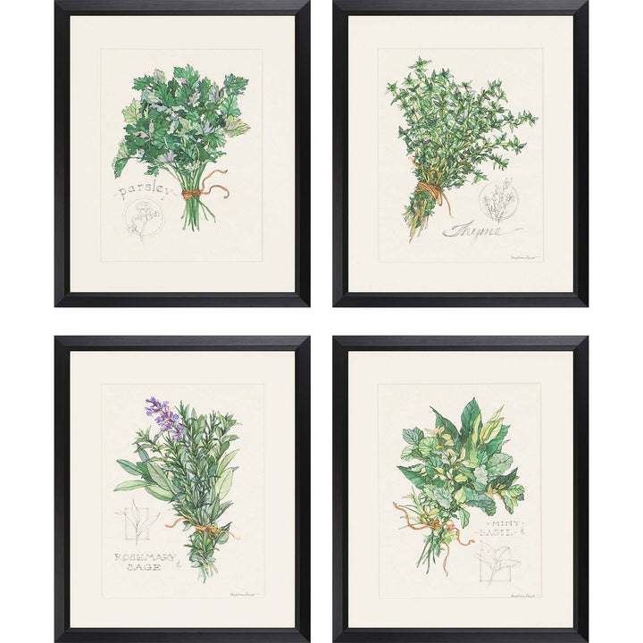 Herbs Giclee Set of 4 by Sally E Roberts