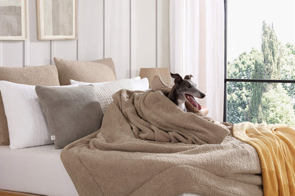 Snug Comforter Bedding