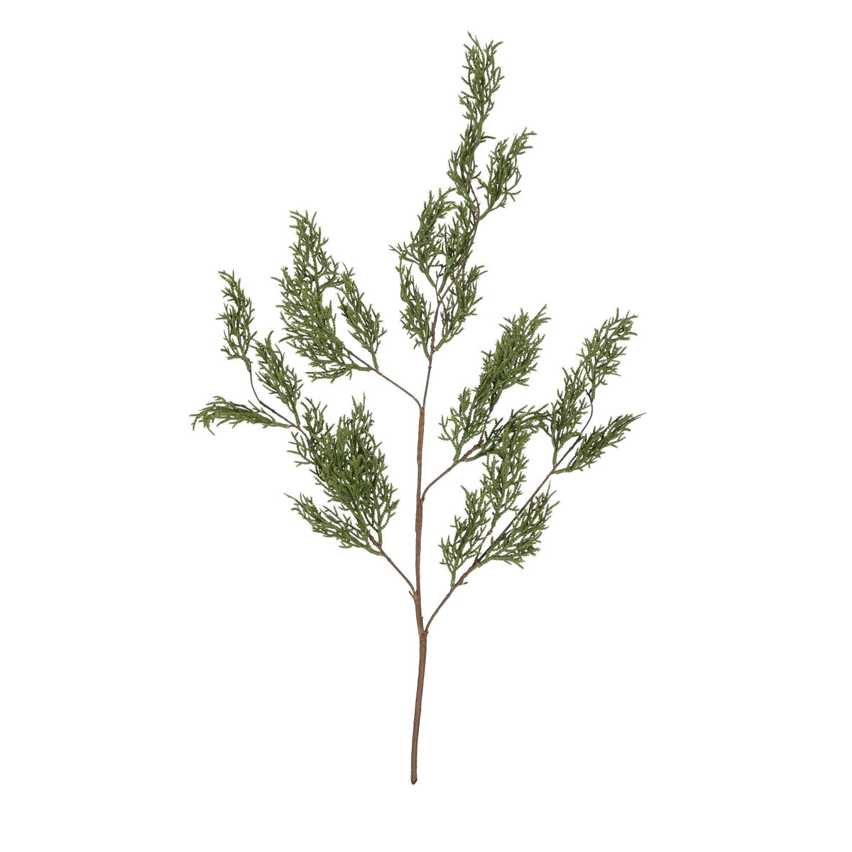 Pine Branch, 31"L