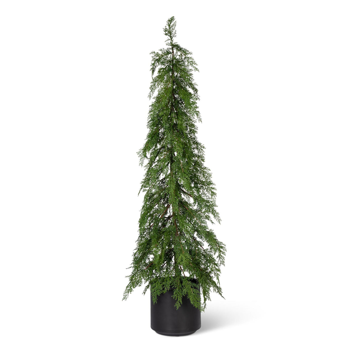 Potted Soft Touch Cedar Tree, 48" H