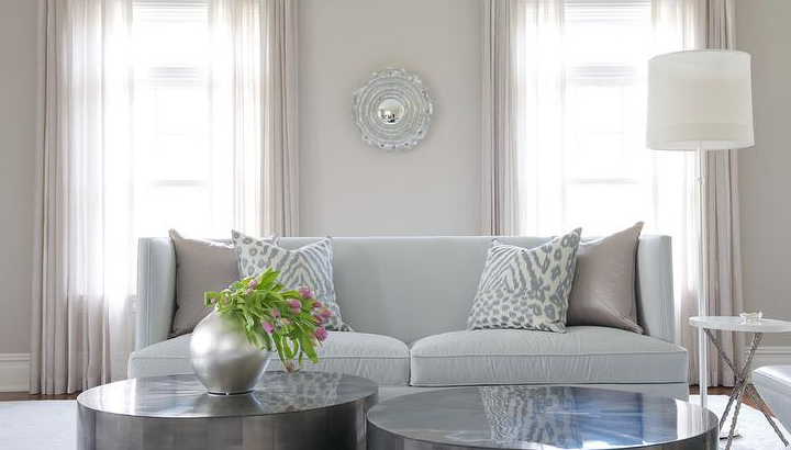 Modern living room with a gray sofa, coffee table, and decorative elements.