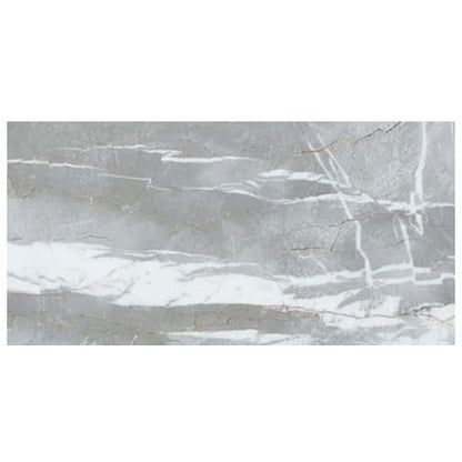 Astana Gray Exotic Marble Polished Floor and Wall Tile - Large Format - Livfloors Collection