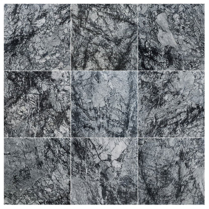 Black Cloud Exotic Marble Polished Floor and Wall Tile - Large Format - Livfloors Collection