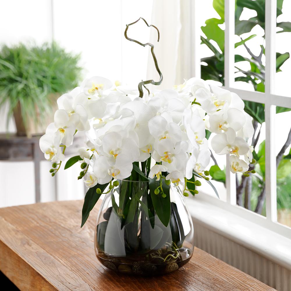 Artificial Phalaenopsis Faux Orchid in Glass Vase Cream sitting on wood table by window