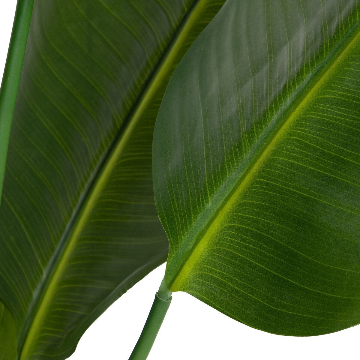 Faux Traveler Palm with Weighted Black Pot, 70"