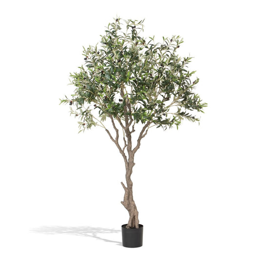 Faux Olive Tree with Weighted Black Pot, 78"