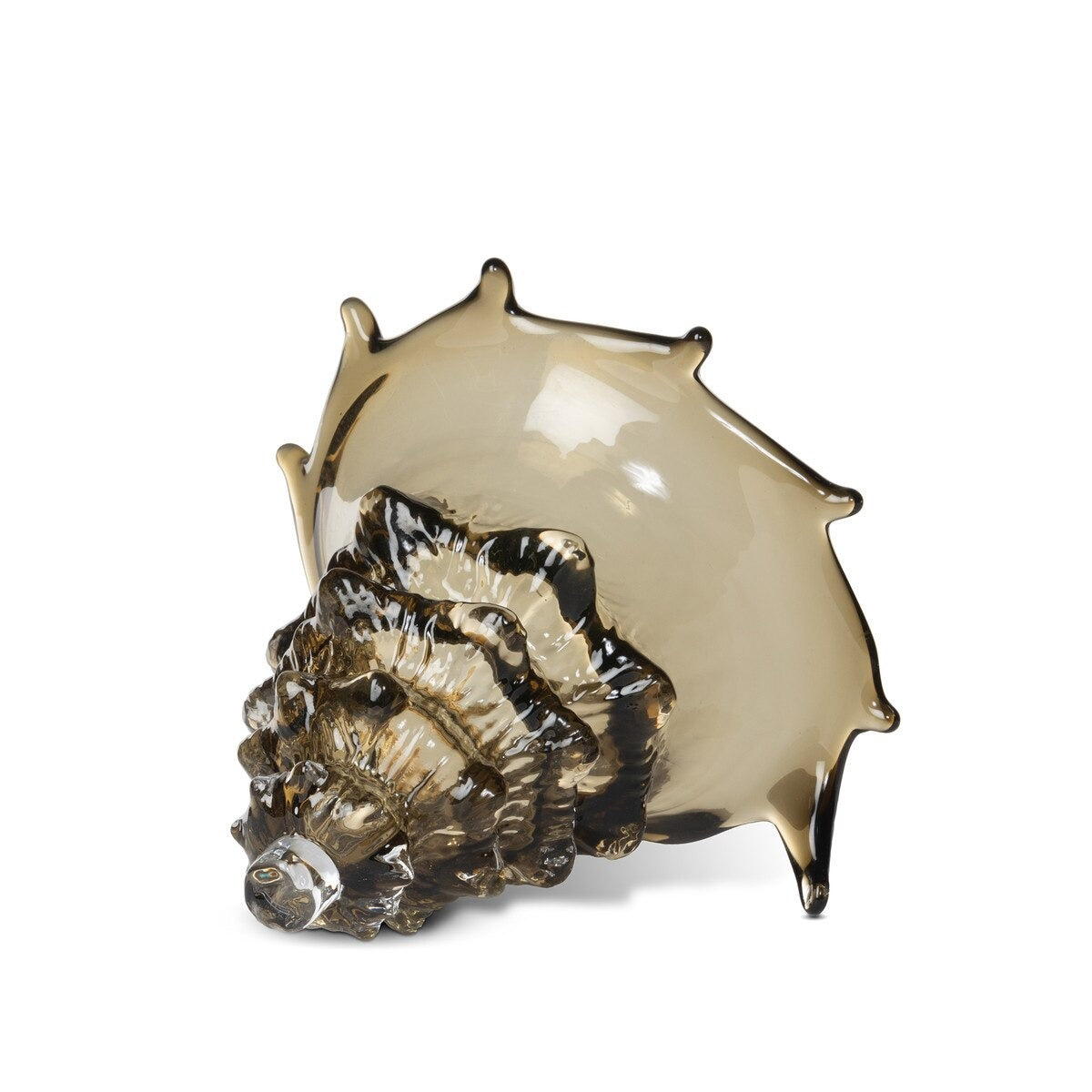Lagoon Glass Sea Shell, Sandy Tan