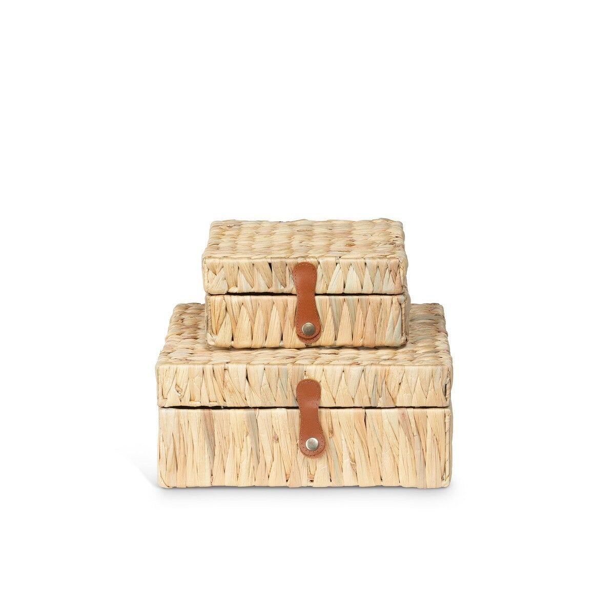 Island Palm Decorative Boxes, Set of 2