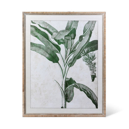 Blissful Banana Tree Framed Wall Art, 2 Assorted Styles