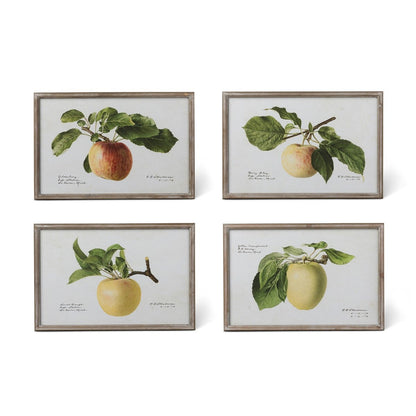 Vintage Orchard Framed Fruits Wall Art, 4 Assorted Styles