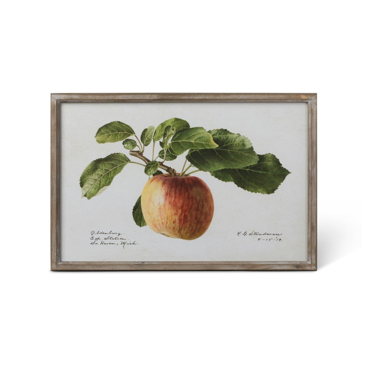 Vintage Orchard Framed Fruits Wall Art, 4 Assorted Styles