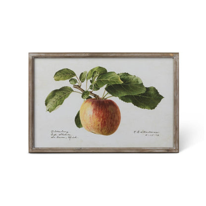 Vintage Orchard Framed Fruits Wall Art, 4 Assorted Styles