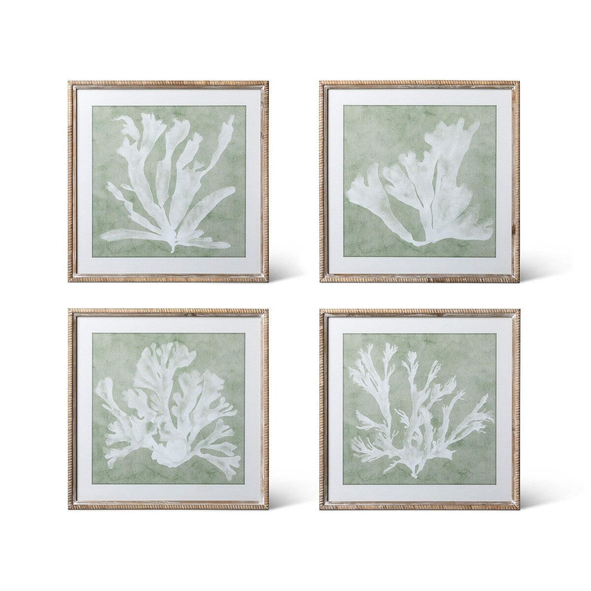 Isla Framed Coral Wall Art, Sage, 4 Assorted Styles