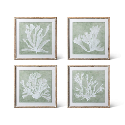 Isla Framed Coral Wall Art, Sage, 4 Assorted Styles