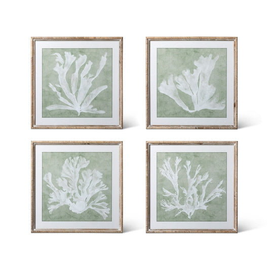 Isla Framed Coral Wall Art, Sage, 4 Assorted Styles