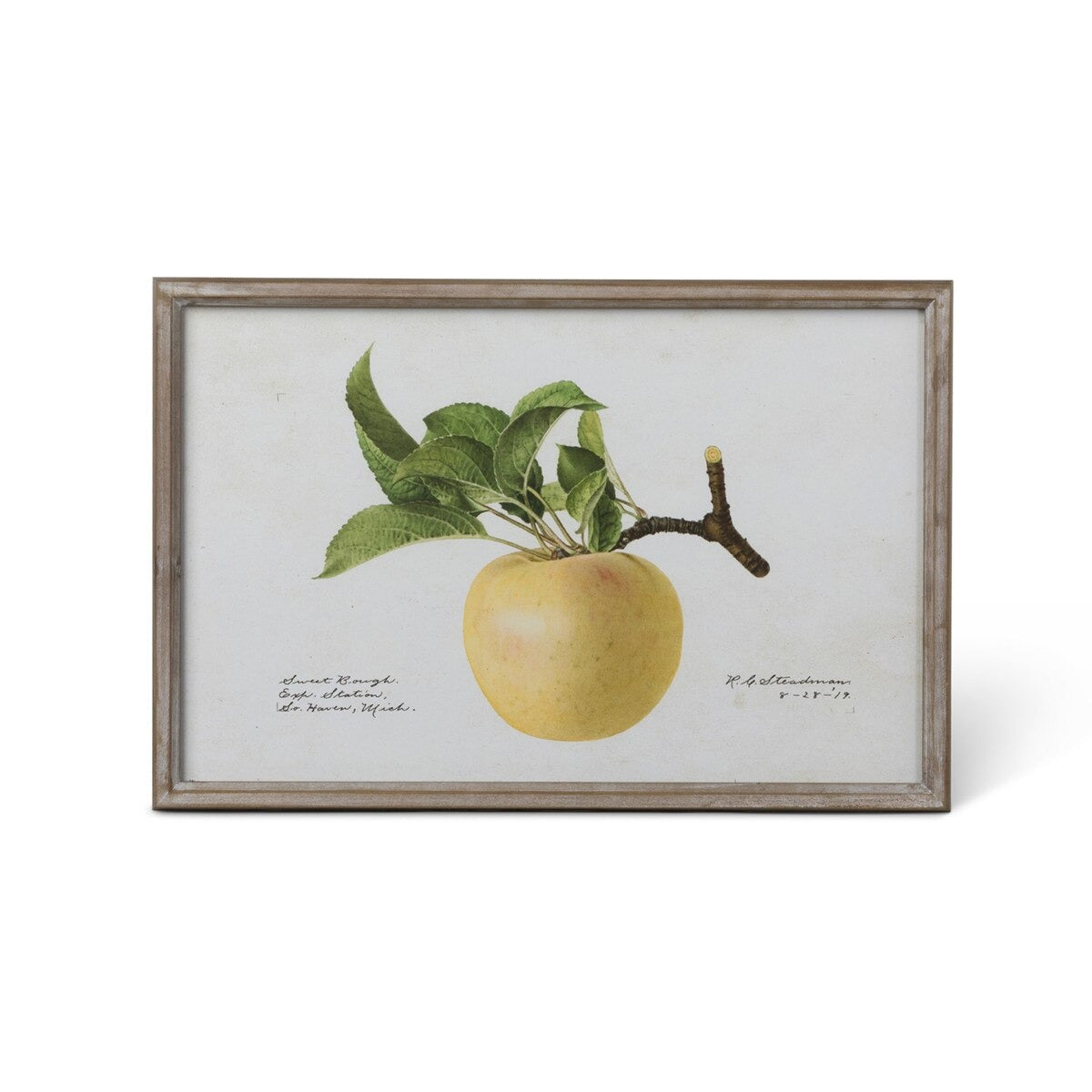 Vintage Orchard Framed Fruits Wall Art, 4 Assorted Styles