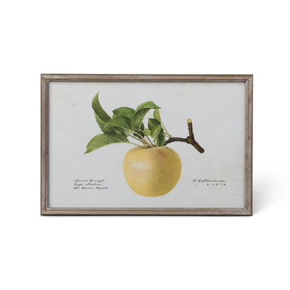 Vintage Orchard Framed Fruits Wall Art, 4 Assorted Styles