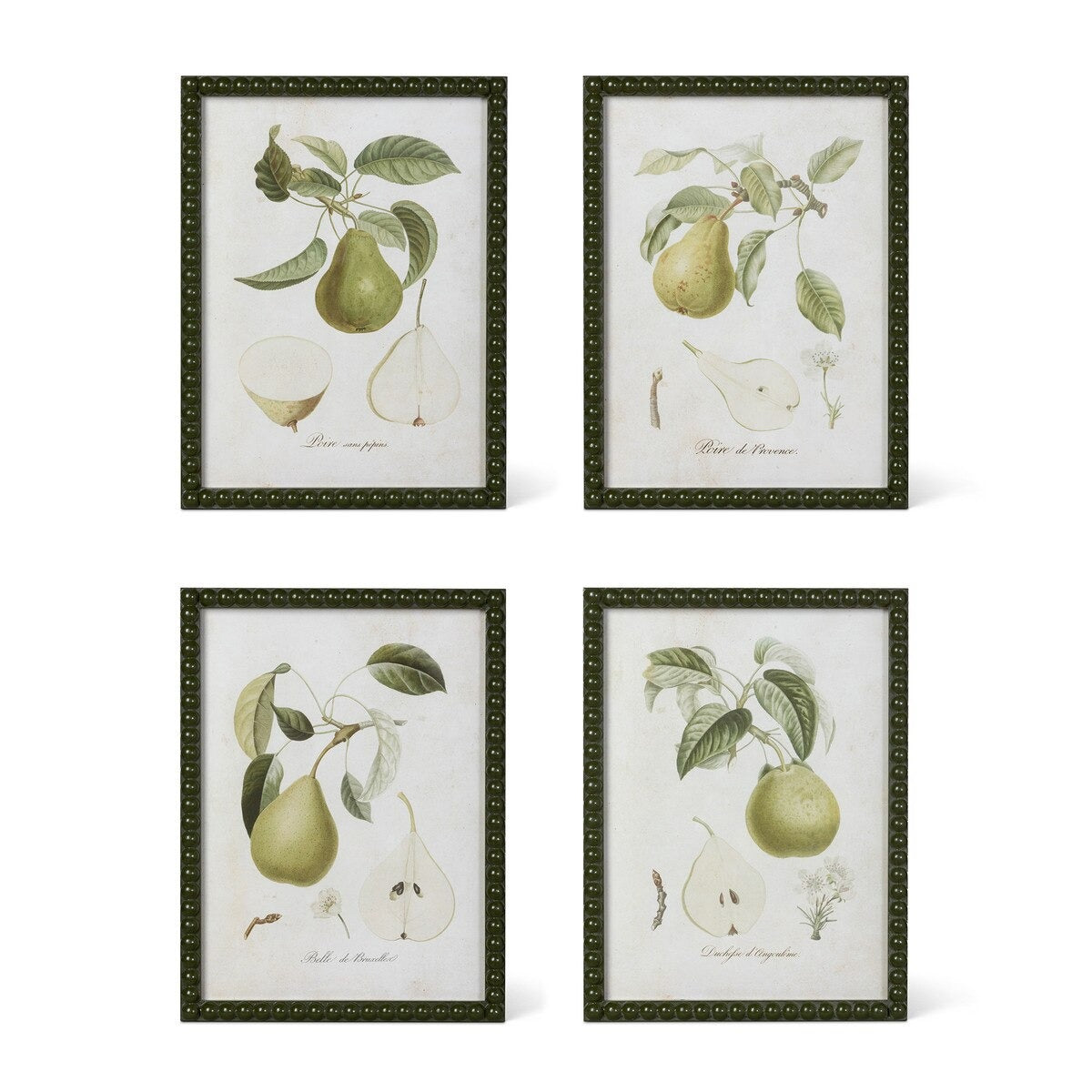 Vintage Orchard Framed Pear Wall Art, 4 Assorted Styles Minimum-Temp out of Stock