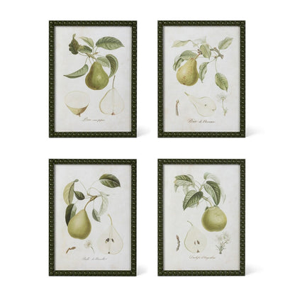 Vintage Orchard Framed Pear Wall Art, 4 Assorted Styles Minimum-Temp out of Stock