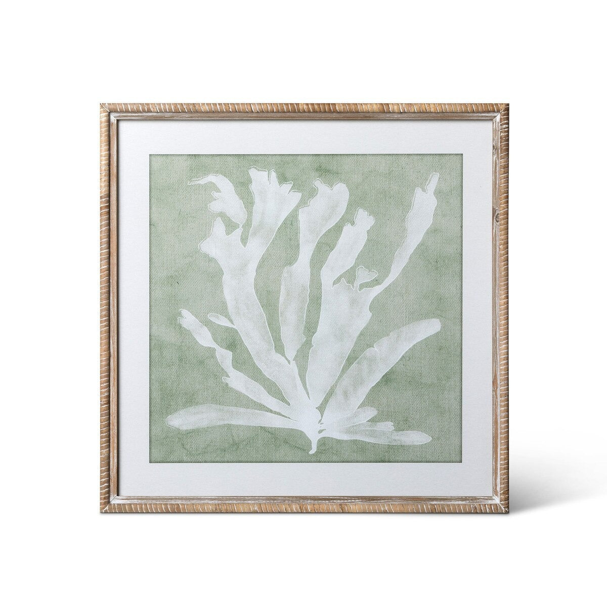 Isla Framed Coral Wall Art, Sage, 4 Assorted Styles