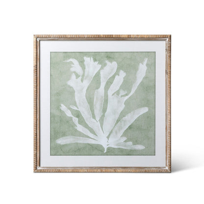 Isla Framed Coral Wall Art, Sage, 4 Assorted Styles