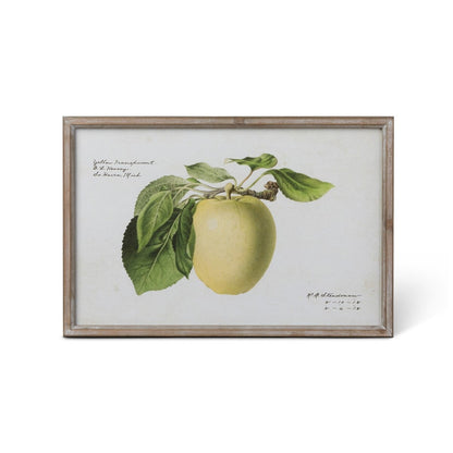 Vintage Orchard Framed Fruits Wall Art, 4 Assorted Styles