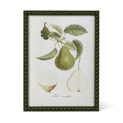 Vintage Orchard Framed Pear Wall Art, 4 Assorted Styles Minimum-Temp out of Stock