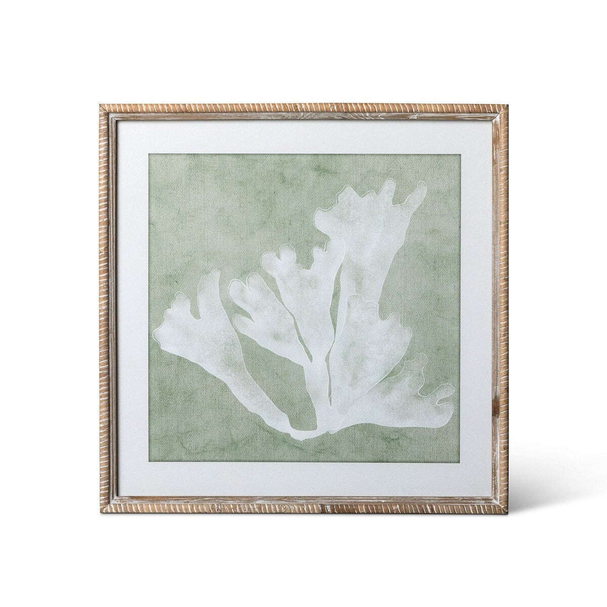 Isla Framed Coral Wall Art, Sage, 4 Assorted Styles