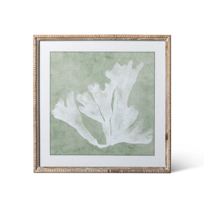 Isla Framed Coral Wall Art, Sage, 4 Assorted Styles