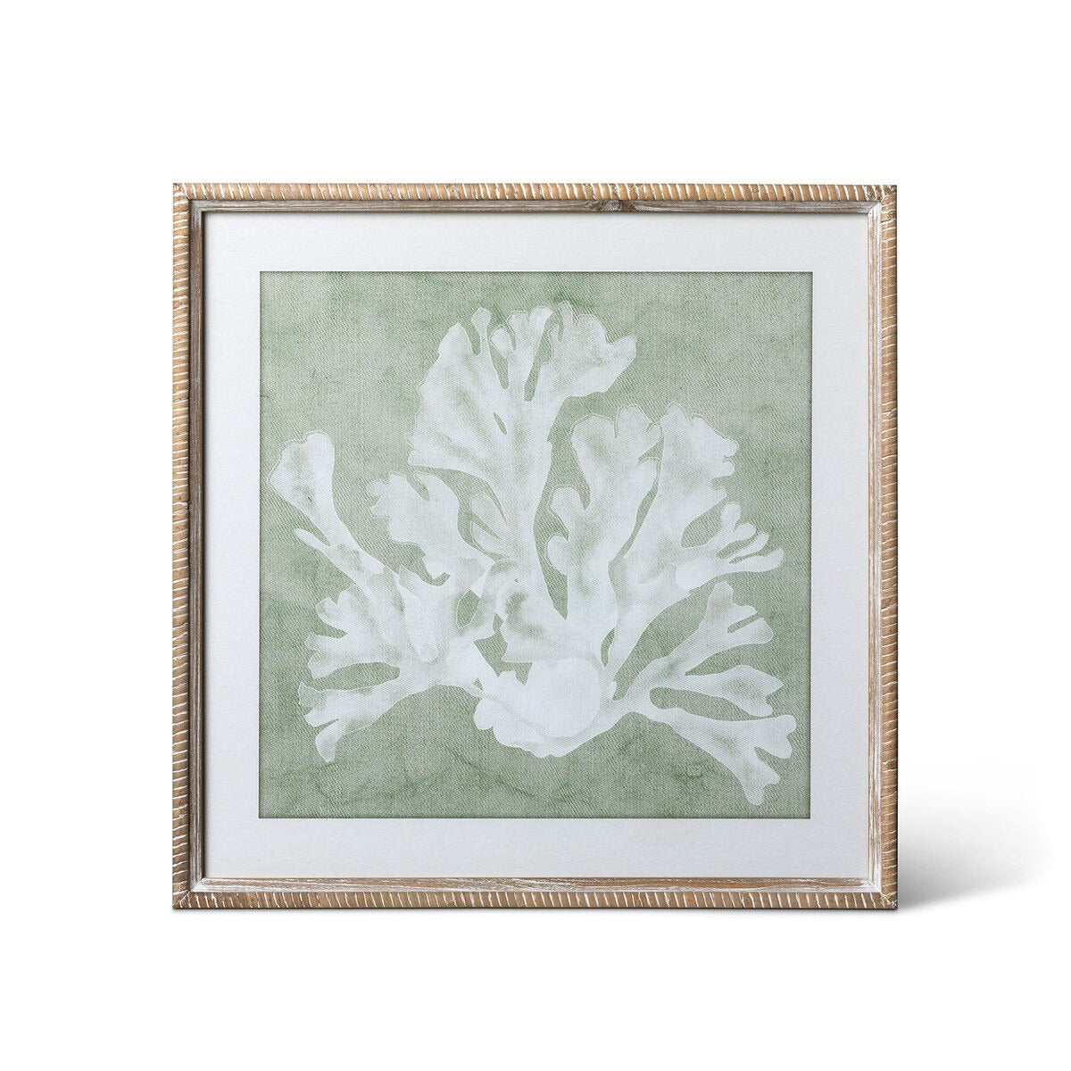 Isla Framed Coral Wall Art, Sage, 4 Assorted Styles