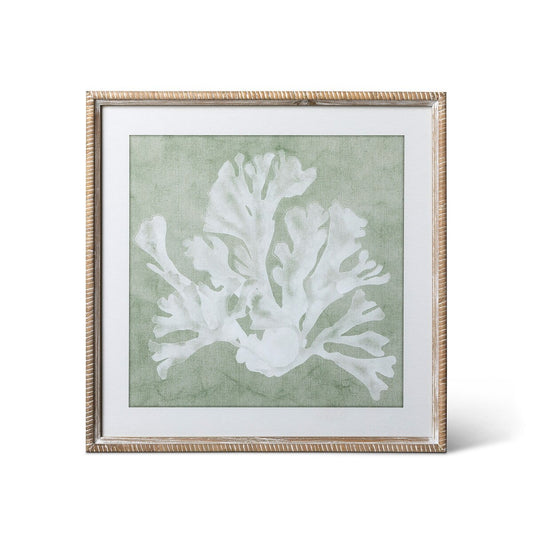Isla Framed Coral Wall Art, Sage, 4 Assorted Styles