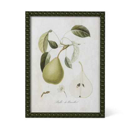 Vintage Orchard Framed Pear Wall Art, 4 Assorted Styles Minimum-Temp out of Stock