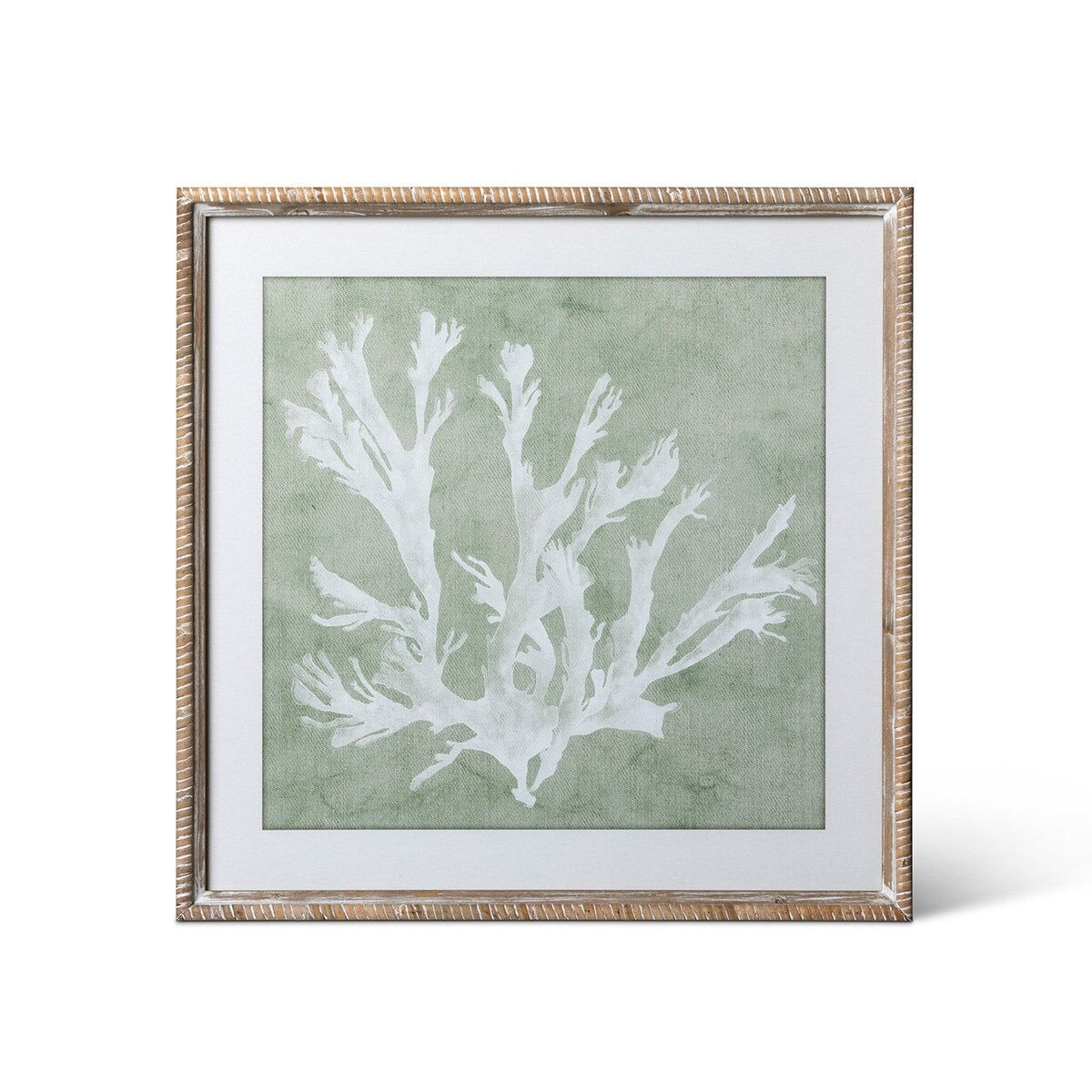 Isla Framed Coral Wall Art, Sage, 4 Assorted Styles