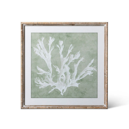 Isla Framed Coral Wall Art, Sage, 4 Assorted Styles