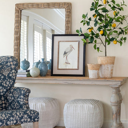 Decorative living room with a mirror, framed artwork, and potted plant.