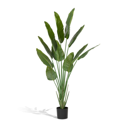 Faux Traveler Palm with Weighted Black Pot, 70"