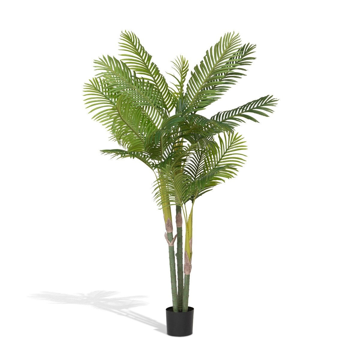 Faux Palm with Weighted Black Pot, 82"