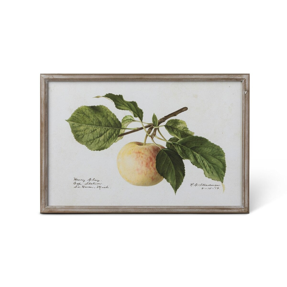 Vintage Orchard Framed Fruits Wall Art, 4 Assorted Styles