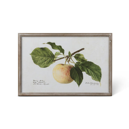 Vintage Orchard Framed Fruits Wall Art, 4 Assorted Styles