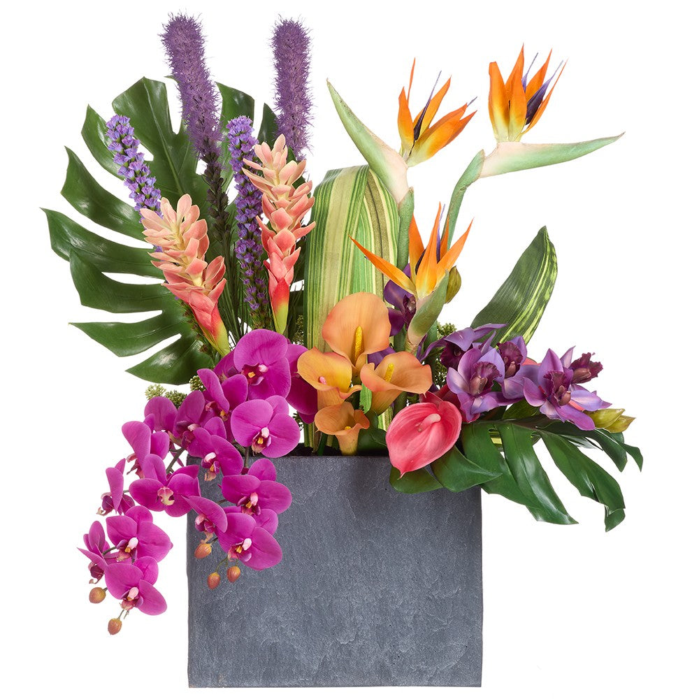 Tropical Mix in Cement Planter